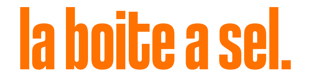 Logo La Boite à Sel